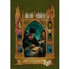 RAVENSBURGER Puzzle Harry Potter a Princ dvojí krve 1000 dílků