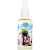 Aroma Funky Flavors Vanilka Čierne ríbezle 50 ml