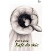 Kafe do skla - Petr Láska