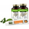 Apothecary Masticha active 2x100 tbs.