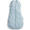 ERGOPOUCH Zavinovačka a vak na spanie 2v1 Cocoon Dragonflies 0-3 m, 3-6 kg, 2,5 tog