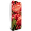 Fototapeta Dimex Red Tulips 65 x 180 cm FR180-012 (Samolepiace fototapety na chladničku)