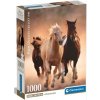 Galopujúce kone HQC 1000ks puzzle s plagátom - Clementoni