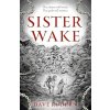 Sister Wake - Dave Rudden