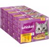 Megabalenie Whiskas 1+ Adult kapsičky 48 x 85 g - hydinový výber v želé