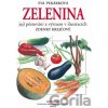 Zelenina - Eva Pekárková