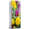 Foto nálepka na chladničku Farebné tulipány 60x180 cm