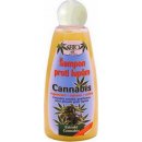 Pomocná tekutina na nechty BC Bione Cannabis bezacetonový odlakovač na nechty 200 ml