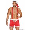 Obsessive Mr Claus boxerky