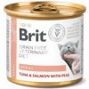 Brit VD Cat GF konz. Renal 200g