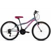 DETSKÝ BICYKEL CAPRIOLO ADRIA STINGER 24/7HT BLACK-PINK 2025
