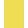 Farebný výkres Herlitz 50x70cm 10 hárkov 300g svetložltý