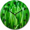 Sklenené nástenné hodiny okrúhle Tráva fi 30 cm