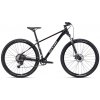 CTM RAMBLER 1.0 29 2025