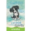 E-kniha Lucinka a ztracené štěňátko - Anne Booth, Sophy Williams (Ilustrátor)