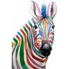 Amparo Miranda® Maľovanie podľa čísiel Farebná zebra