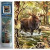 Norimpex Diamantové maľovanie Žreb v rieke 30 x 40 cm
