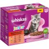 Multibalenie Whiskas Junior kapsičky 12 x 85 g/100 g - klasický výber v omáčke