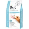 Brit VD Dog GF Obesity 2kg