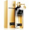Montale Paris Spicy Aoud, Parfumovaná voda 100ml unisex
