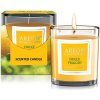 CR04 Areon Sviečka Dolce Viaggio 120g