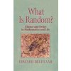What Is Random? (Edward J. Beltrami)(Brožovaná)