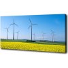 Foto obraz na plátne Veterný mlyn na poli 100x50 cm
