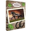Odkladacia mapa A5 box 7756 Horses