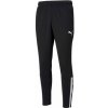 Pants Puma teamLiga Training M 657242-03 (81178) NAVY BLUE M