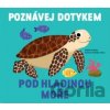Pod hladinou moře - Stéphanie Babin
