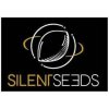 Silent Seeds Original Amnesia neobsahuje THC 5 semen