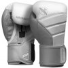 Hayabusa T3