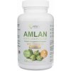 Wish Amlan Forte 4000 mg - 120 kapsúl