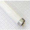 BELLIGHT Žiarivka 18W/865 studená biela 26x590mm