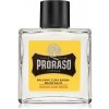 Proraso Wood and Spice balzam na fúzy 100 ml