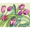 Zuty – Maľovanie Podľa Čísel – Fialové Tulipány, 40 × 50 cm, Plátno 8596530076124
