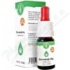 Zelená Země CBD Konopný olej 10% 10ml