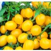Citrus grape (semená) paradajka