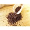 Psyllium skorocel indický - 1kg