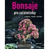 Bonsaje pro začátečníky - Horst Stahl