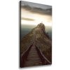 Vertikálny foto obraz na plátne Chodník na skale 50x100 cm