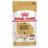 Royal Canin Labrador Retriever Adult - ako doplnok: mokré krmivo 20 x 140 g Royal Canin Breed Labrador Retriever