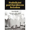 Podnikání pod Davidovou hvězdou - Pavel Kosatík