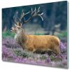 Sklenená doska na krájanie Jeleň medzi levanduľu 60x52 cm