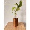 BotaneryLab ELEMENT Dub - drevený stojan na zakoreňovanie rastlín WoodenBotanery Motív: B