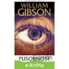E-kniha Působnost - William Gibson