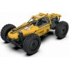 AMEWI Trade COOLRC DIY OLDSCHOOL BUGGY 2WD 1:18