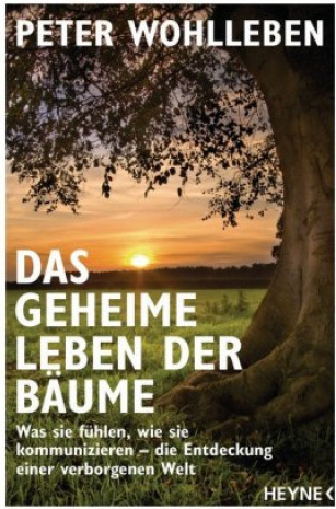 Das geheime Leben der Bäume