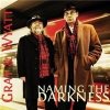 Gray & Wyatt - Naming the Darkness