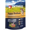Ontario Puppy Medium Lamb and Rice 0,75 kg